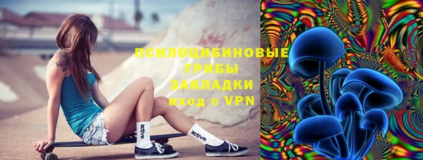 прущие крисы Арсеньев