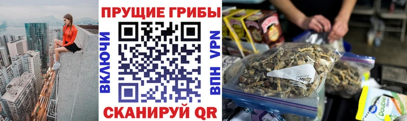 Псилоцибиновые грибы GOLDEN TEACHER Орёл